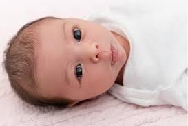 NSCI Bulletin Sept-Oct 2022 0822 REV8.indd