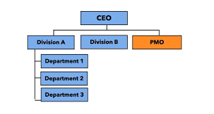 A pmo is the backbone of a successful project management approach at an organization. Project Management Office Pmo Projectmanagement Guide