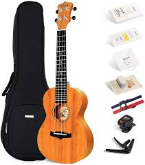 Check spelling or type a new query. Pick Case Tuner Eus 25d Bu Strap Enya Soprano Ukulele 21 Blue Solid Mahogany Top With Ukulele Starter Kit Includes Online Lessons Strings String Instruments Folk Traditional String Instruments Ayalonlaw Co Il