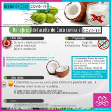 7/6/2020 perfecta leche de coco para recetas riquísimas como el pollo al curry. Aceite De Coco Contra El Covid 19 Cancer Emocional
