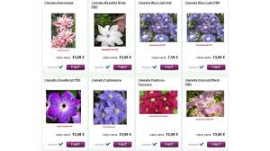 Sepals are light pink with a darker, deeper pink blush on the edges and in the central bar. Zelen V Raji Pripravili Sme Si Pre Vas Aj Malu Ponuku Facebook