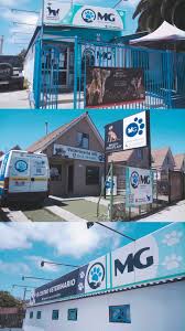 Veterinaria MG - Dr. Manuel García Aguilar