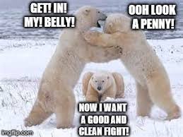 See more ideas about bear, bear meme, funny animals. Bears Wrestling Imgflip