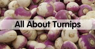 Pick greens when they are young and tender; All About Turnips How To Pick Prepare Store Produce For Kids Turnip Nutrition Facts Turnip How To Prepare Turnips
