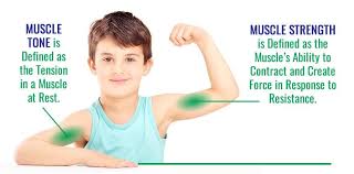 Maybe you would like to learn more about one of these? What Is The Difference Between Muscle Tone And Strength Breakthrough Intensive Physical Therapy