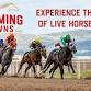 Live Horse Racing at Wyoming Downs