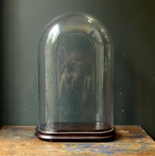 Check spelling or type a new query. Huge Antique Glass Dome Display With Wood Base 22 Tall Cloche Bell Jar 220154577