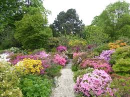 Botanischer Garten Beim Belvedere Botanischer Garten Wien Reisebewertungen Tripadvisor