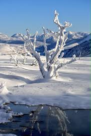 El invierno es una de las cuatro estaciones del año, y abarca distintos meses según hablemos del hemisferio norte o del hemisferio sur. Hermosa Imagen Desde Yellowstone Justo Manana Empieza El Invierno En El Hemisferio Norte Via Yellowstonenps Webcams De Mexico Scoopnest