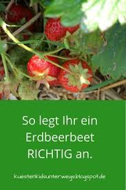 Unterwegs Im Garten Erdbeerbeet Anlegen Erdbeerbeet Erdbeeren Garten Erdbeeren Pflanzen