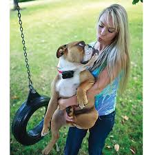 There are some invisible fence brands allow only one receiver collar for each transmitter, but some brands can perform for more. Multiple Wire Gauge Options From The Parent Company Of Invisible Fence Brand Petsafe Stubborn Dog In Ground Fence For Dogs And Cats Training Behavior Aids Pet Supplies Een Twee Nl