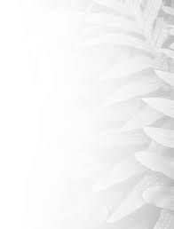 Http Www Aan Com Globals Axon Assets 8230 Pdf