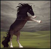 Pin On Napoleon S Herd