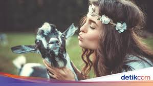 Dan (ingatlah) ketika tuhanmu berfirman kepada para malaikat : Pelaku Incest Setubuhi Kambing Mungkinkan Menghasilkan Keturunan Hybrid