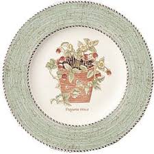Wedgwood Sarah S Garden Fine Earthenware 8 Inch Salad Plates Set Of 4 Green By Wedgwood 92 40 Oven Microwave Freezer Wedgwood Sarah S Garden Color Rims