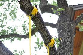 How Do You Hang A Little Tikes Swing Little Tikes Swing Little Tikes Baby Swing Outdoor