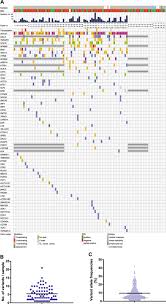 A cohort of all ra patients (n = 112) starting tocilizumab therapy between october 2008 and march 2010 in northern bavaria was screened for infections.mild/moderate and severe infections were recorded. Genotyping Circulating Tumor Dna Of Pediatric Hodgkin Lymphoma Leukemia X Mol