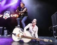 Stray Cats