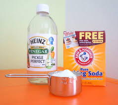 Make a vinigar solution to get rid of mold and mildew this solution really works. How To Get Rid Of Musty Smell In Basement With A Few Quick Tips
