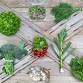 2025 Spring CSA