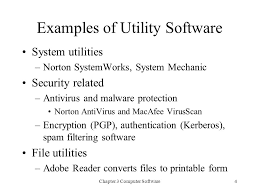Utility software is used to perform basic maintenance tasks on a computer. Chapter 3 Computer Software Ppt Download