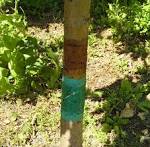 Scegliere la colla giusta! - Bostik