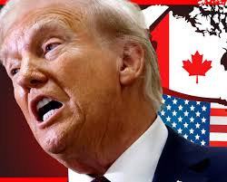 Le Robin de la viande des bois frappe encore