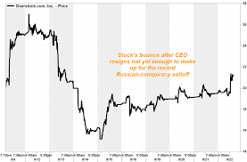 Overstock Investors Cheer After Too Controversial Ceo