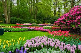 Flowers deserve a great arrangement and we show our images off in amazing hd quality (1920 x 1080, 1920 x 1200. Lencir Kuning 25 Lovely Free Download Full Hd Flower Wallpapers For Pc