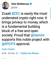 Countless promising investors saw their crypto journey end brutally. Underdogs Of 2021 Zec
