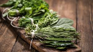 American salad adalah jenis salad yang sama dengan compoud salad, yang membedakan bagian ini merupakan bagian utama dari salad. 10 Jenis Dedaunan Aromatik Yang Sering Digunakan Untuk Masakan