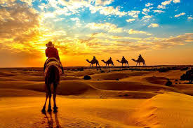 Jaisalmer camel safari after having breakfast you'll be taken on a four night camel safari which will start from jaisalmer and cover various hamlets and. Desert Safari In Jaisalmer Camel Safari Jeep Safari Cost