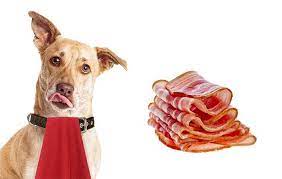 Can Dogs Eat Bacon What Might Happen If They Do