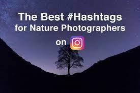 The Best Hashtags For Nature Photography On Instagram Nature Photography Quotes Quotes About Photography Nature Instagram