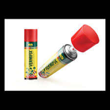 Image result for puklice švestková obrázek