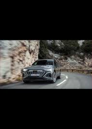 Image result for Chinchilla 1969 Audi