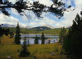 Looking for great camping in bighorn national forest? Ranger Creek Eastside Campground Bighorn National Forest Travel Wyoming