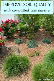 At 1.79 a bag for the ace stuff, i use that one and it seems to blend in better with my own soil. Improve Soil Quality With Composted Cow Manure Garden Sanity By Pet Scribbles