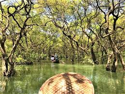 Ratargul Swamp Forest Of Bangladesh Places To Visit Scenic Beauty Saint Martin Island