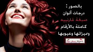 صبغة غارنييه بني غزالي صبغات شعر بني Shaer Blog