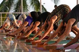 200 hours yoga teacher india
