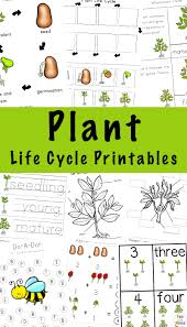 Plant life cycle stages worksheet. Plant Life Cycle Learning Pack Fun With Mama