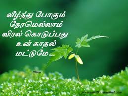 Heart Touching Birthday Wishes In Tamil For Wife Veelnthu Pogum Neram Ellam Viral Kodupathu Kadhal Matumae Images For Facebook Whatsapp Meera Good Thoughts Quotes Birthday Wishes For Lover Devotional Quotes