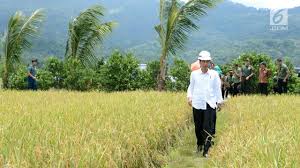 Serta menurunkan biaya pertanian melalui peningkatan sebelumnya, badan penyuluhan dan pengembangan sumber daya manusia pertanian (bppsdmp) juga membentuk tiga langkah untuk. Cara Pemerintah Tingkatkan Kesejahteraan Petani Bisnis Liputan6 Com