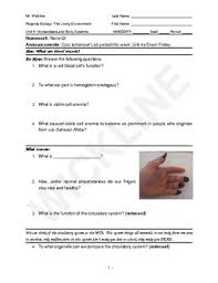 Axillary artery (she taste like sweet apple pie) main artery of the upper limb and continuation of subclavian artery at the outer border of the first rib. Veins And Artery Worksheets Teaching Resources Tpt