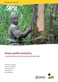 Image result for Peddiea africana