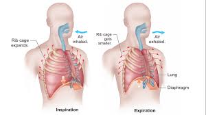 Image result for Hyperventilation