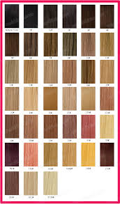 49 Qualified Hair Extension Color Number Chart