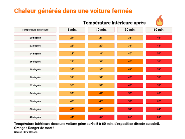 Mort de chaleur: comment libérer les chiens des voitures garées sans  conséquences juridiques - Protection Suisse des Animaux PSA