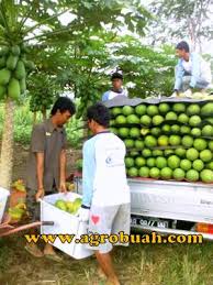 1,401 likes · 8 talking about this. Lowongan Kerja Sopir Dan Kerja Serabutan